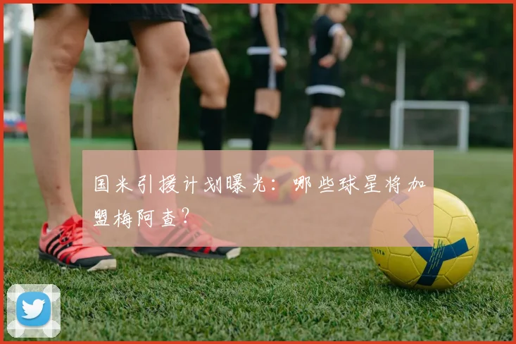 国米引援计划曝光：哪些球星将加盟梅阿查？