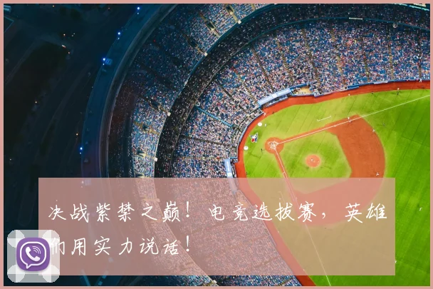 决战紫禁之巅!电竞选拔赛,英雄们用实力说话!