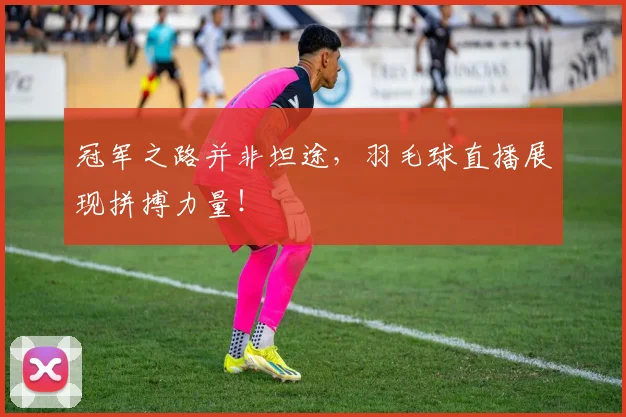 冠军之路并非坦途，羽毛球直播展现拼搏力量！