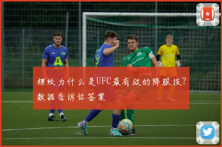 裸绞为什么是UFC最有效的降服技?数据告诉你答案