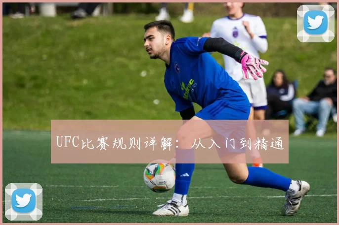 UFC比赛规则详解：从入门到精通