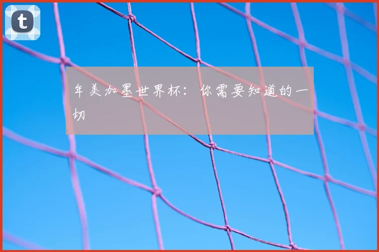 年美加墨世界杯:你需要知道的一切
