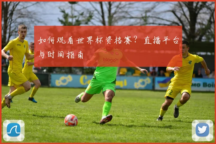如何观看世界杯资格赛?直播平台与时间指南