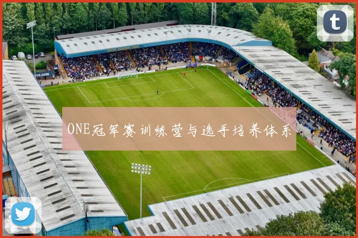 ONE冠军赛训练营与选手培养体系
