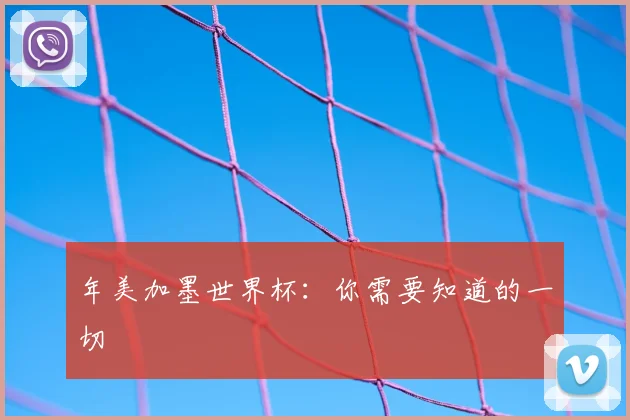 年美加墨世界杯:你需要知道的一切